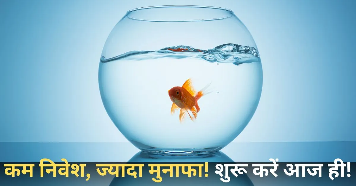 Gold Fish Farming Business Idea in Hindi