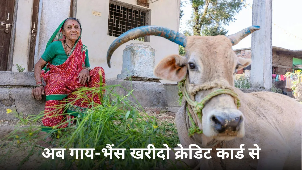 पशु किसान क्रेडिट कार्ड योजना